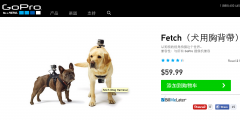GoPro Fetch：汪星人专属