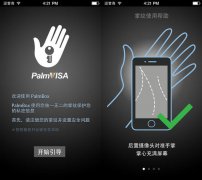 PalmVISA：致力于让所有